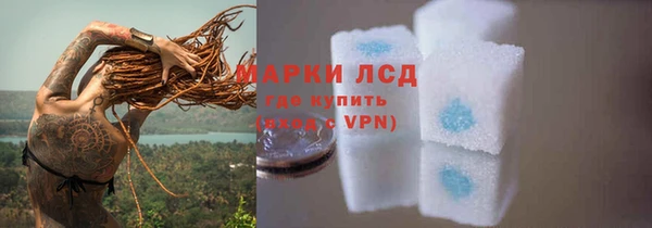 трава Бородино