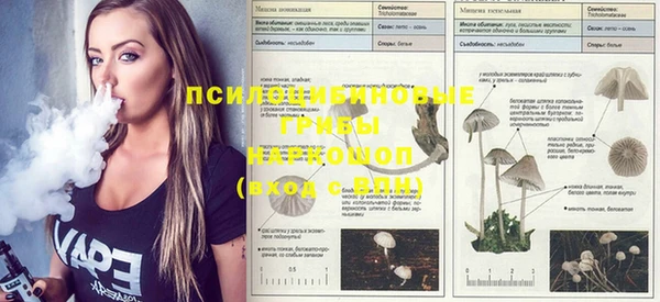 стаф Бронницы