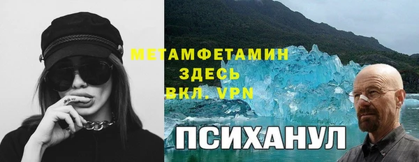 трава Бородино