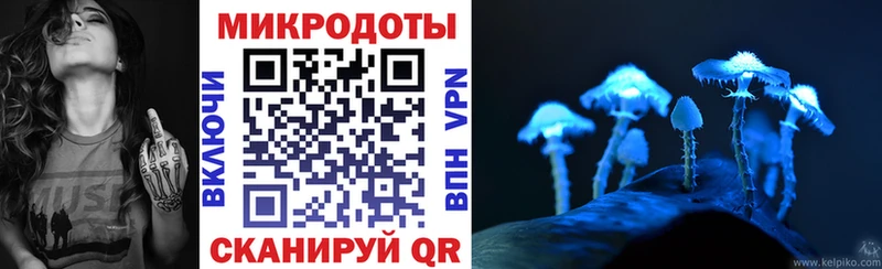Псилоцибиновые грибы Psilocybe  Купить закладки  Ковдор 